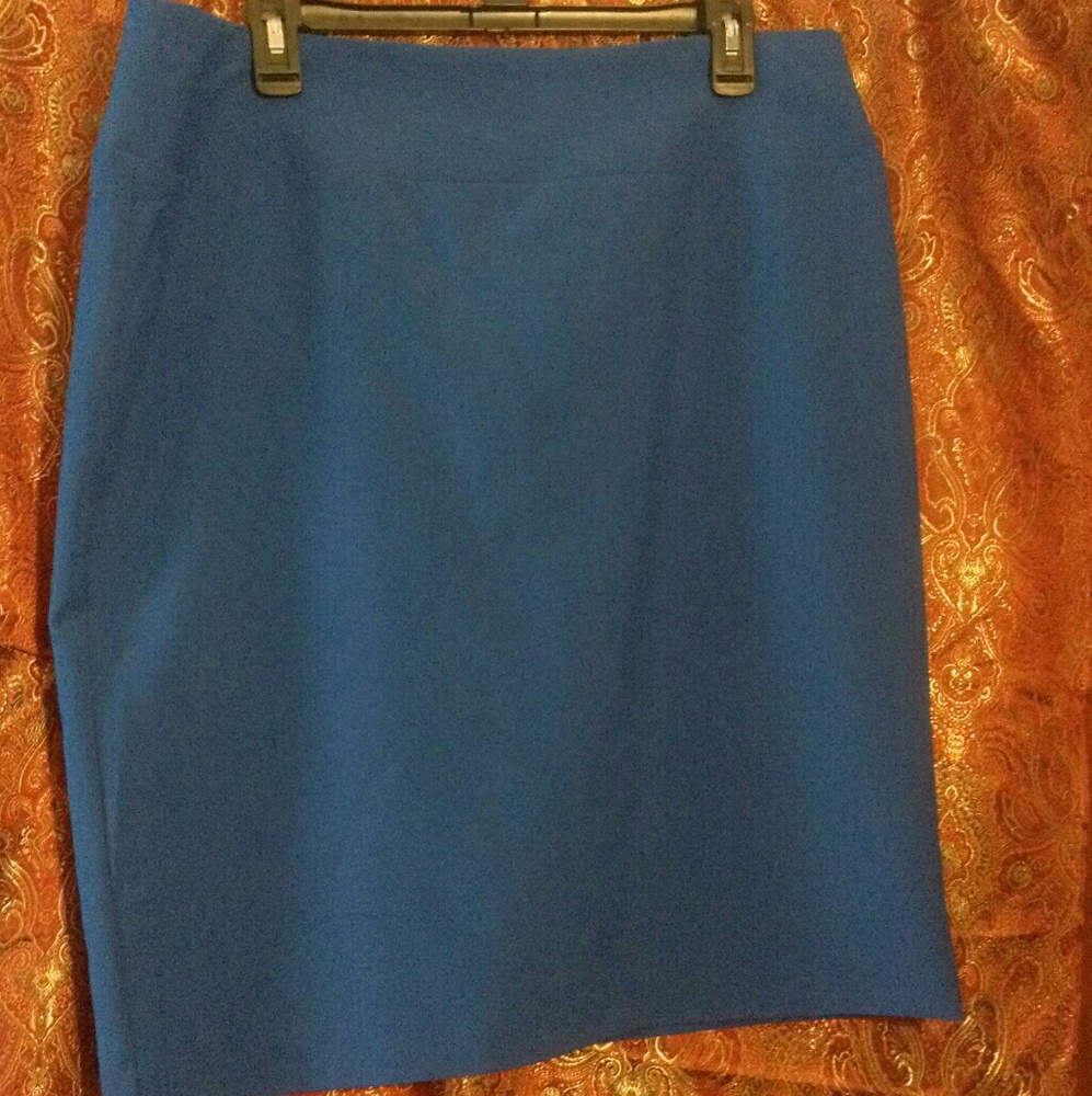 Alfani Blue Skirt